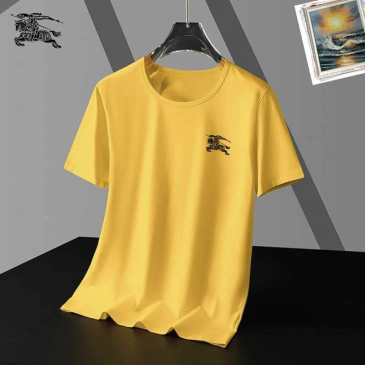 Picture of Burberry T Shirts Short _SKUBurberryS-5XL25th4519704